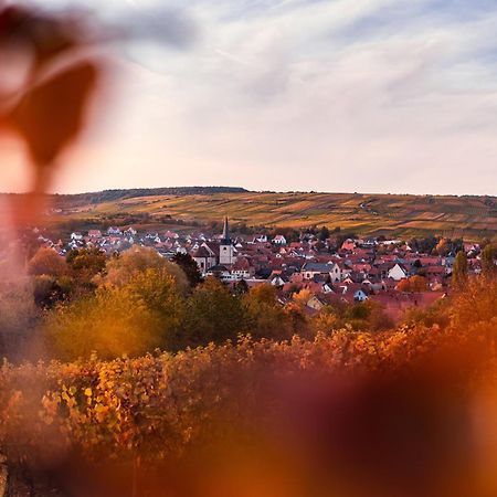 Villa Maeva - Parking, Sauna & Fitness Riquewihr Luaran gambar