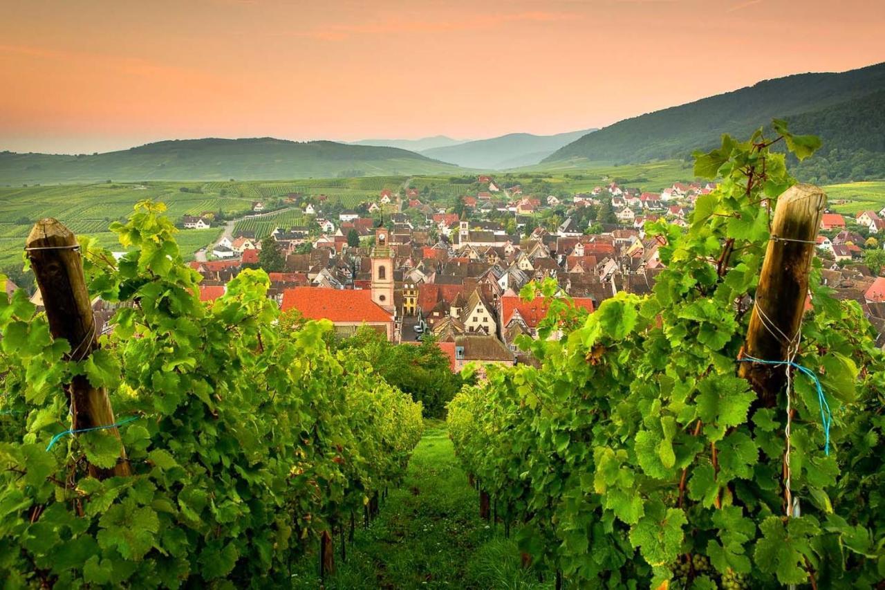 Villa Maeva - Parking, Sauna & Fitness Riquewihr Luaran gambar